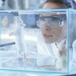 Scientist Caught Blowing Millions of Tax Dollars on Illegal Animal Experiments
